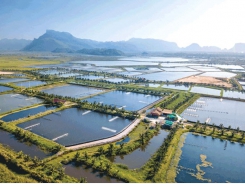 Land Based Sustainable Aquaculture Strategy - The Last Part