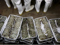 Seafood exports to China could recover in second half