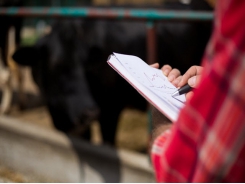 Canada: Cattle feed tools shed light on ingredient nutrition, value