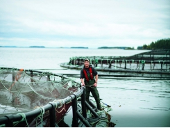 Canada's aquaculture ventures fail to meet sustainability goals