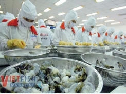 Seafood exports reached nearly 4 billion USD in the first six months