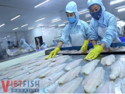 Pangasius exports to ASEAN sees positive indication