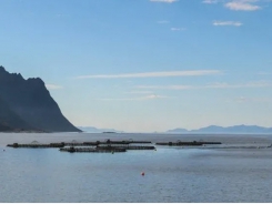 Could marine industrial parks create more aquaculture opportunities?