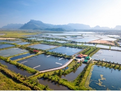 What Is Aquaculture and Why Do We Need It?