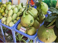 Vegetable, fruit exports target for 2019 reachable: experts