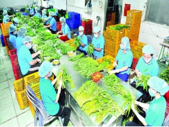 Agricultural exports to Thailand market surge