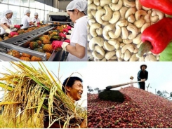 Agricultural trade surplus climbs above US$5 billion mark