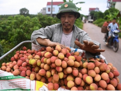 Vietnamese lychees make it to Singapore supermarket shelves