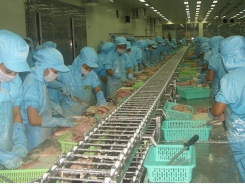 Exporters worried as catfish exports to major markets drop