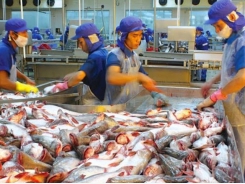 Aquatic exports down 10% in June