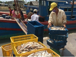 Door to EU market wide open for Vietnamese aquatic products