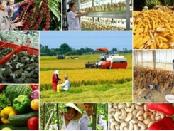 How does EVFTA mean to Vietnamese agriculture?