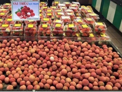 Vietnam’s fruit growers enjoy large export volumes