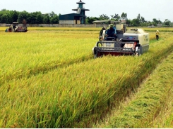 Agricultural production was US$4.5 billion in the first half of the year