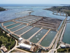 Giving fish farmers the edge in data management