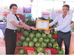 Hau Giang prepares ‘pasports’ for fruits joining global playground