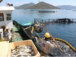 Protecting marine environment decides sustainability for aquaculture