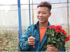 9X engineer quitted job in Japan, returned to grow roses