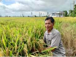 Agriculture production conversion in drought and saline areas