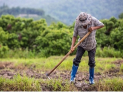 Biến đổi khí hậu là thách thức lớn nhất đối với nông dân khu vực Đông Nam Á
