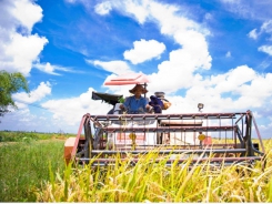 Vietnam's agriculture maintains positive growth in first half of 2021