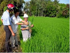 Một Chặng Đường Nỗ Lực Cho Kinh Tế Tập Thể