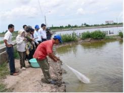 Bến Tre Ngành Thủy Sản Là Lĩnh Vực Then Chốt Để Tái Cơ Cấu Ngành Nông Nghiệp