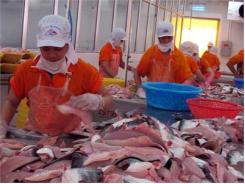 Việt Nam Dẫn Đầu Về Xuất Khẩu Cá Philê Đông Lạnh Sang Braxin
