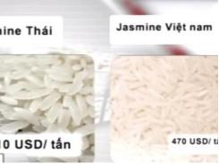 Vì sao gạo Việt lép vế trên thị trường quốc tế