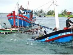 Bảo hiểm cho tàu cá