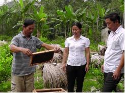 Đói giáp hạt, nông dân nghèo nghĩ cách vươn lên thành triệu phú