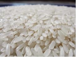 TPP đảm bảo loại bỏ dần thuế nhập khẩu gạo giữa các nước thành viên