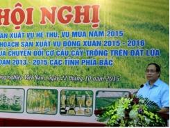 Đẩy mạnh chuyển đổi cây trồng