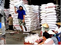 Cơ chế trói tay ngành lúa gạo