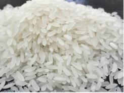 USDA dự báo thương mại gạo toàn cầu 2015 giảm 2% xuống 42,4 triệu tấn