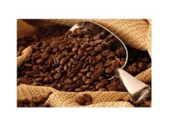 Giá cà phê trong nước ngày 01/10/2015 giảm trở lại 400 ngàn đồng/tấn