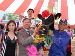 Hoa hậu bò sữa Mộc Châu đạt sản lượng sữa 59,6 kg/ngày