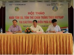 Nuôi tôm VietGAP đảm bảo 4 An