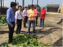 Đột phá hợp tác nông nghiệp Việt Nga