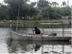 Phát triển nuôi cá lồng trên sông ở Hải Lăng