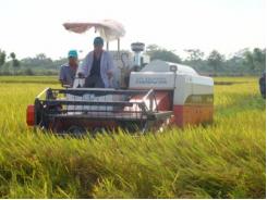Huệ Minh giới thiệu các loại máy Kubota với nông dân Hà Tĩnh