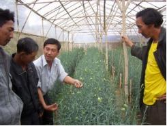 Đơn Dương huyện có 6.400 nông dân giỏi