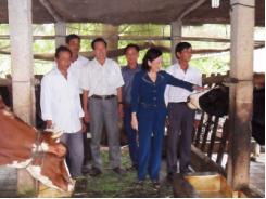Cái tầm của nữ thủ lĩnh nông dân