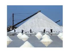Sản xuất 102.900 tấn muối công nghiệp