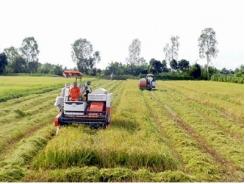 Bước tiến trong sản xuất nông nghiệp