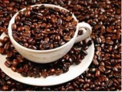 Giá và sản lượng cùng giảm làm khó người trồng cà phê