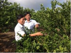 Người trồng sầu riêng đầu tiên ở Đồng Xoài