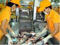Xuất khẩu cá tra cả năm dự kiến đạt khoảng 1,7 tỷ USD