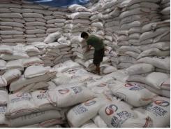 Philippines xem xét nhập khẩu thêm 1 triệu tấn gạo trong năm 2016