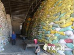 Indonesia đã chấp nhận nhập khẩu gạo từ Việt Nam và Thái Lan